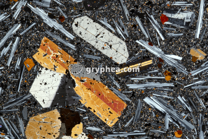 Basalte demi-deuil LPA x3 - gryphea.org